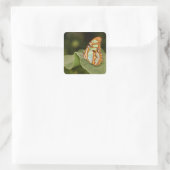 Malachitschmetterling auf einem Blatt Quadratischer Aufkleber (Tasche)