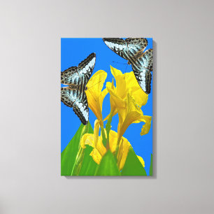 Malaiisch-blauer Clipper Stretched Canvas Print Leinwanddruck