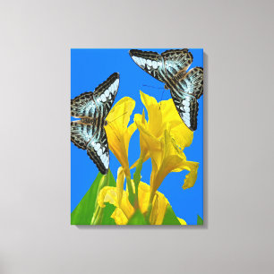 Malaiisch-blauer Clipper Stretched Canvas Print Leinwanddruck