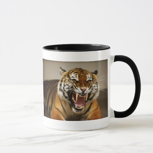 Malaiische Tasse des Tigers #2 (Rechts)
