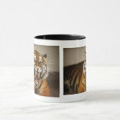 Malaiische Tasse des Tigers #2 (Zentrum)