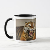 Malaiische Tasse des Tigers #2 (Links)