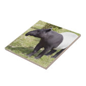 Malaiischer Tapir auf Gras Fliese (Seite)