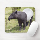 Malaiischer Tapir auf Gras Mousepad (Mit Mouse)