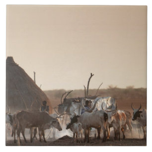 Malakal, Dorf der ethnischen Gruppe der Dinka Fliese