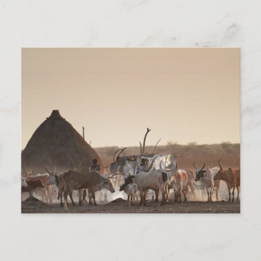 Malakal, Dorf der Volksgruppe Dinka Postkarte (Vorderseite)