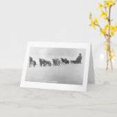 Malamute-Chor Alaska 1920 Karte (Gelbe Blume)