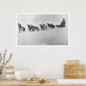 Malamute Chorus Alaska 1920 Poster (Küche)