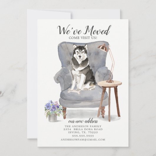 Malamute Dog | Ankündigung der Beförderung (Vorderseite)