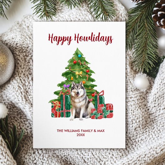 Malamute Dog Familie Weihnachten