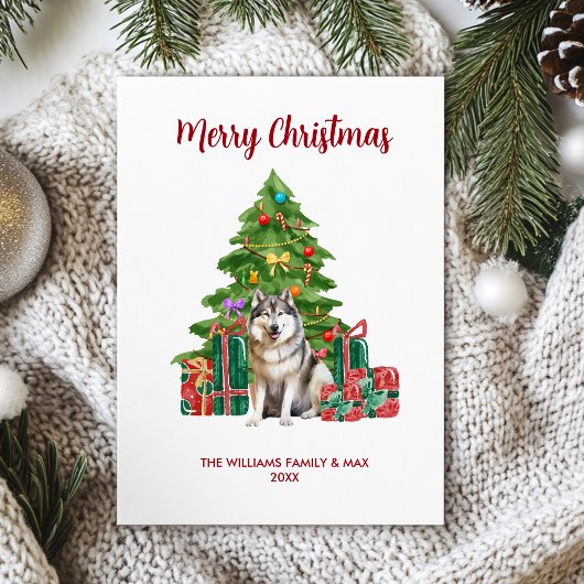 Malamute Dog Familie Weihnachten