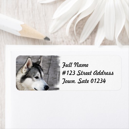 Malamute Dog-Mailing-Label (Insitu)