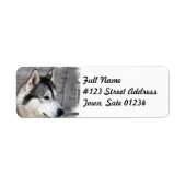 Malamute Dog-Mailing-Label (Vorne)