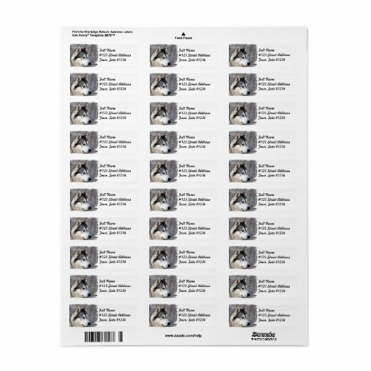 Malamute Dog-Mailing-Label (Vorne)