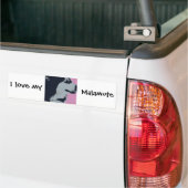 Malamute Dog Pop Art Autoaufkleber (Auf Lkw)