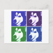Malamute Dog Postkarte (Vorderseite)
