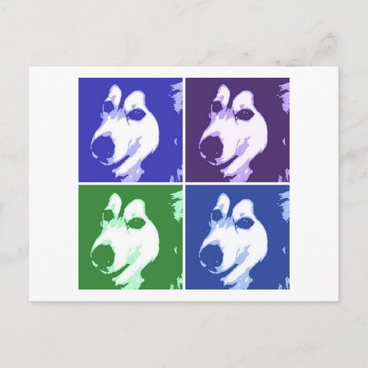 Malamute Dog Postkarte (Vorderseite)