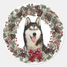 Malamute Dog Red Bow Pinecone Kranz Weihnachten