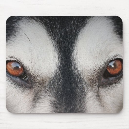 Malamute-Hundebrown-Augen Mousepad (Vorne)