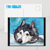 MALAMUTE SPIELEN IM SCHNEE POSTKARTE (Vorne/Hinten)
