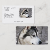 Malamute-Visitenkarte Visitenkarte (Vorne/Hinten)