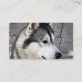 Malamute-Visitenkarte Visitenkarte (Rückseite)