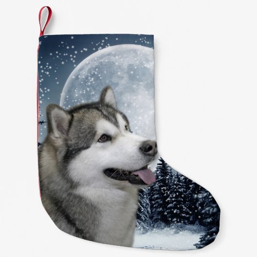 Malamute-WeihnachtsStrumpf Kleiner Weihnachtsstrumpf (Vorderseite)