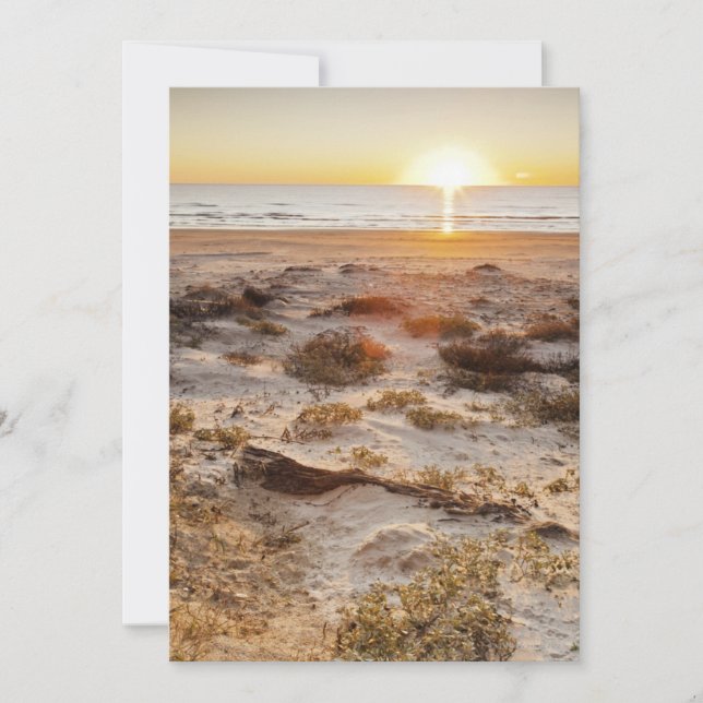 Malaquite Beach Sand Dunes (Vorderseite)