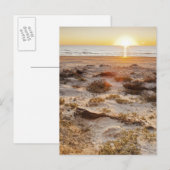Malaquite Beach Sand Dunes Postkarte (Vorne/Hinten)
