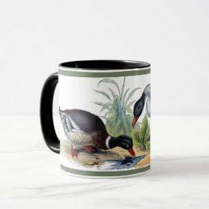 Malard Duck Birds Junting Nature Wildlife Animals Tasse