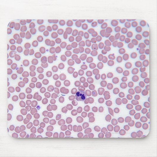 Malariablutzellen Mousepad (Vorne)