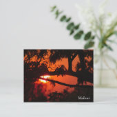 Malawi, Africa Sunset Postcard Postkarte (Stehend Vorderseite)