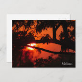 Malawi, Africa Sunset Postcard Postkarte (Vorne/Hinten)