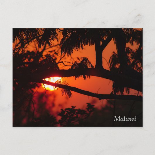 Malawi, Africa Sunset Postcard Postkarte (Vorderseite)
