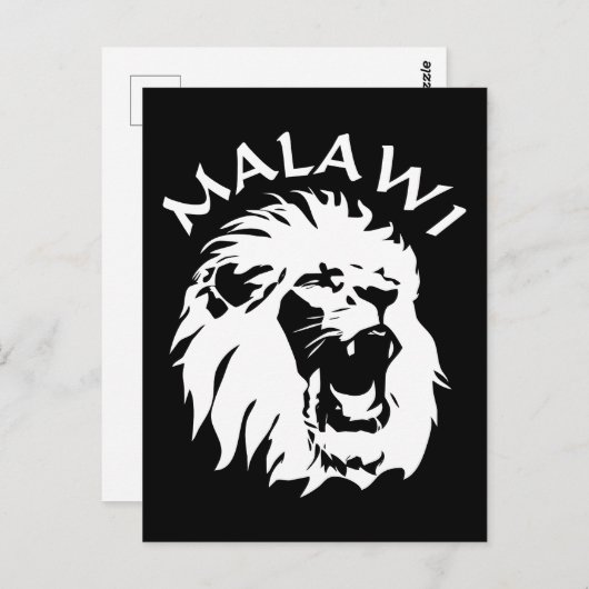 Malawi Lion Postkarte (Vorne/Hinten)