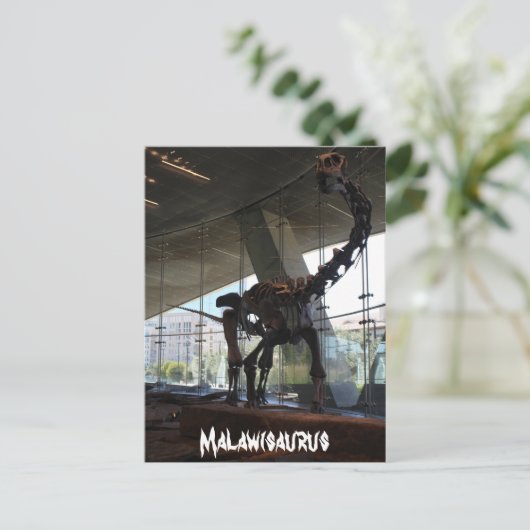 Malawisaurus Postkarte (Stehend Vorderseite)