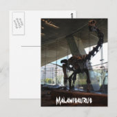 Malawisaurus Postkarte (Vorne/Hinten)
