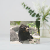 Malaya Postkarte (Stehend Vorderseite)