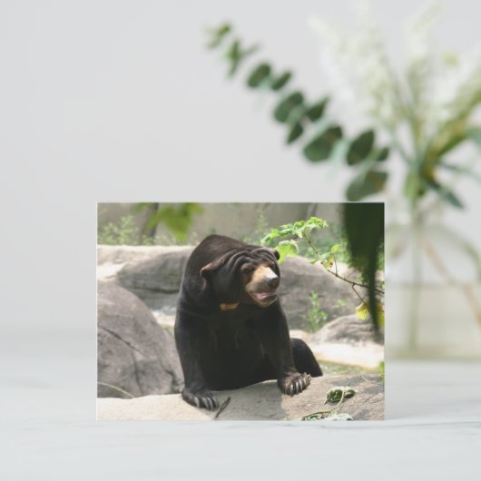 Malaya Postkarte (Stehend Vorderseite)