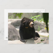 Malaya Postkarte (Vorne/Hinten)