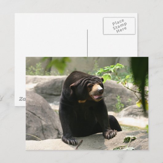 Malaya Postkarte (Vorne/Hinten)