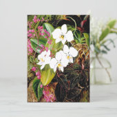 Malayan Moth Orchid und ein amerikanischer Climber Karte (Stehend Vorderseite)