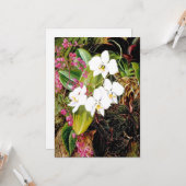 Malayan Moth Orchid und ein amerikanischer Climber Karte (Vorderseite/Rückseite Beispiel)