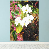 Malayan Moth Orchid und ein amerikanischer Climber Leinwanddruck (Insitu (Holzboden))
