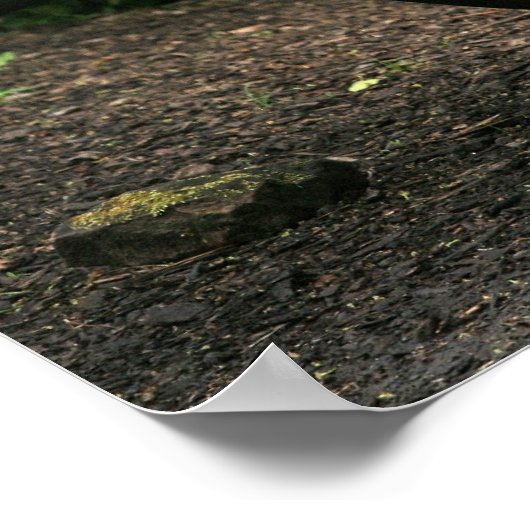 Malayan Tapir Poster (Ecke)