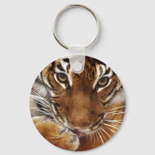 Malayan Tiger #1 Schlüsselanhänger (Vorderseite)
