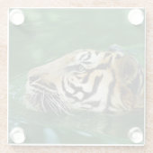 Malayan Tiger Face Schwimmen Glasuntersetzer (Rückseite)