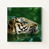 Malayan Tiger Swimming Headshot Notizblock (Rückseite)
