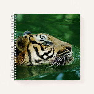 Malayan Tiger Swimming Headshot Notizblock