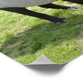 Malayische Tapire auf Gras Poster (Ecke)